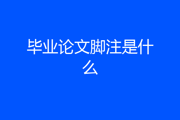 毕业论文脚注是什么
