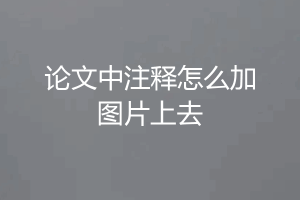 论文中注释怎么加图片上去