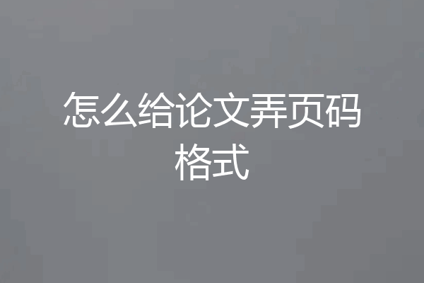 怎么给论文弄页码格式