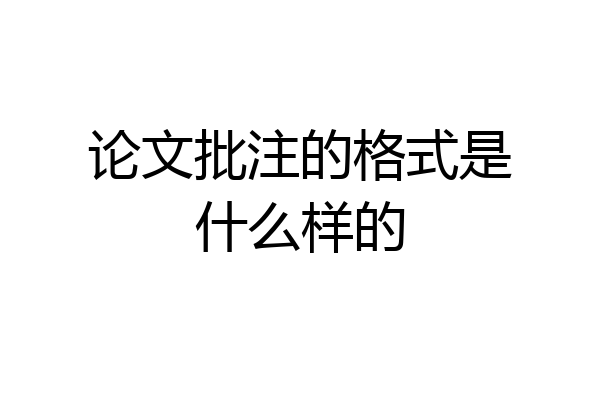 论文批注的格式是什么样的