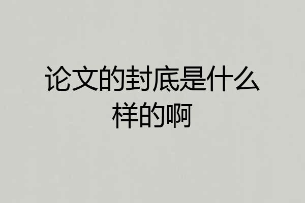 论文的封底是什么样的啊