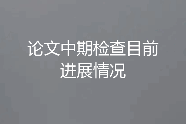 论文中期检查目前进展情况