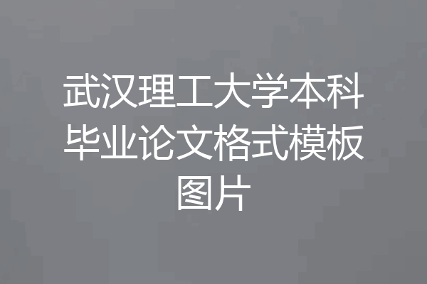 武汉理工大学本科毕业论文格式模板图片