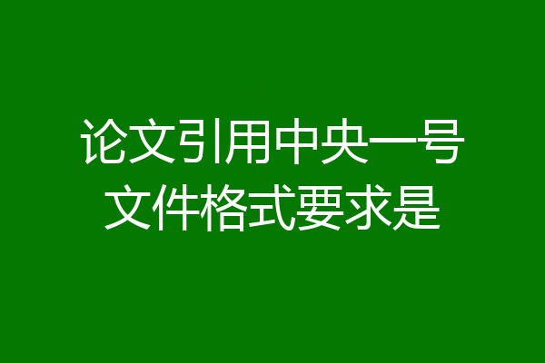 论文引用中央一号文件格式要求是
