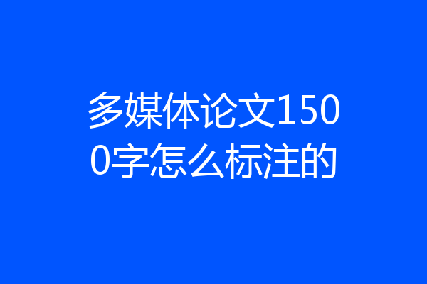 多媒体论文1500字怎么标注的
