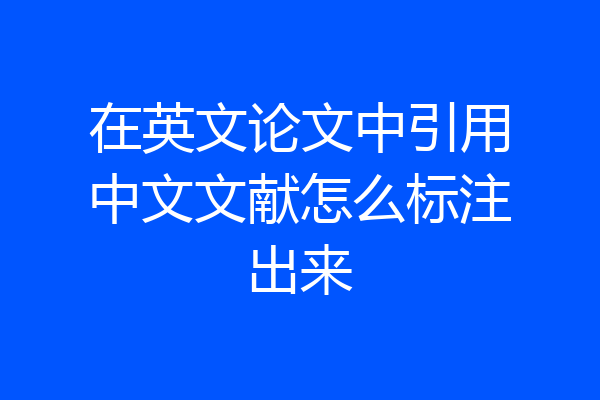 在英文论文中引用中文文献怎么标注出来