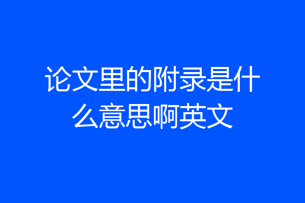 论文里的附录是什么意思啊英文