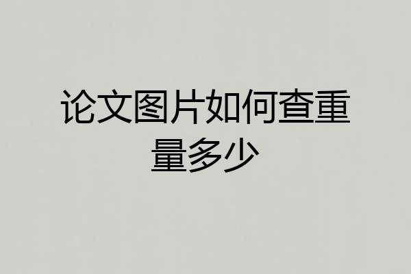 论文图片如何查重量多少