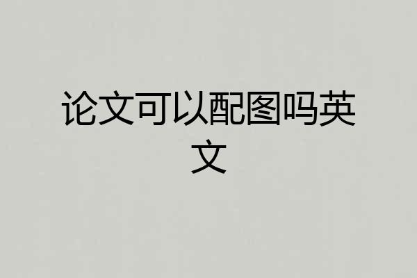 论文可以配图吗英文