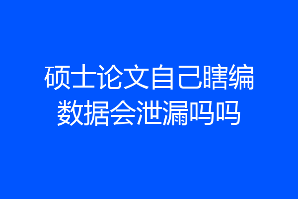 硕士论文自己瞎编数据会泄漏吗吗