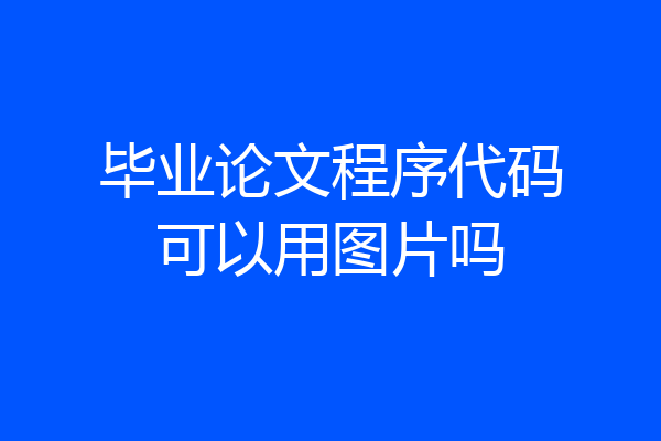 毕业论文程序代码可以用图片吗