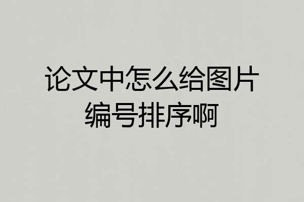 论文中怎么给图片编号排序啊