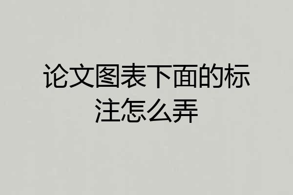 论文图表下面的标注怎么弄