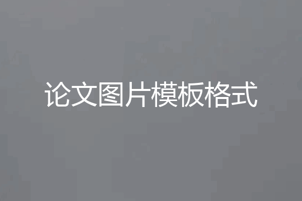 论文图片模板格式
