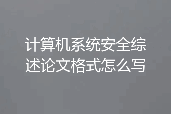 计算机系统安全综述论文格式怎么写