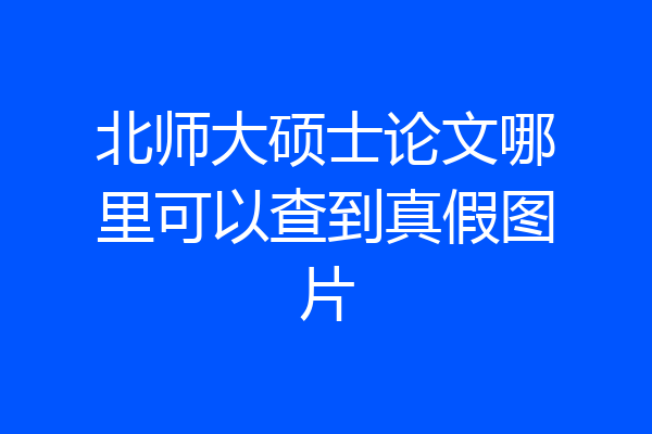 北师大硕士论文哪里可以查到真假图片