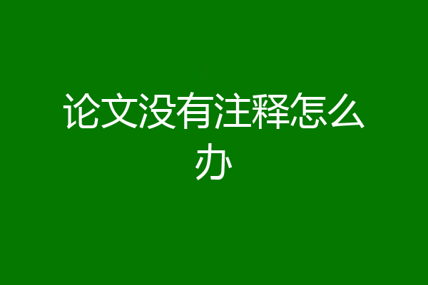 论文没有注释怎么办