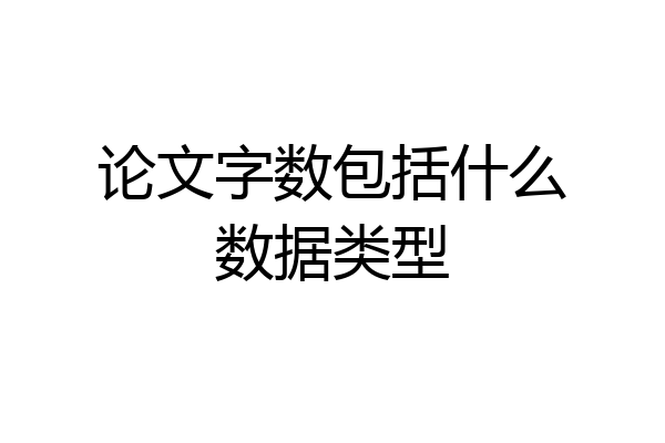 论文字数包括什么数据类型