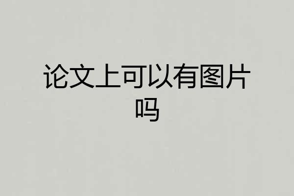 论文上可以有图片吗