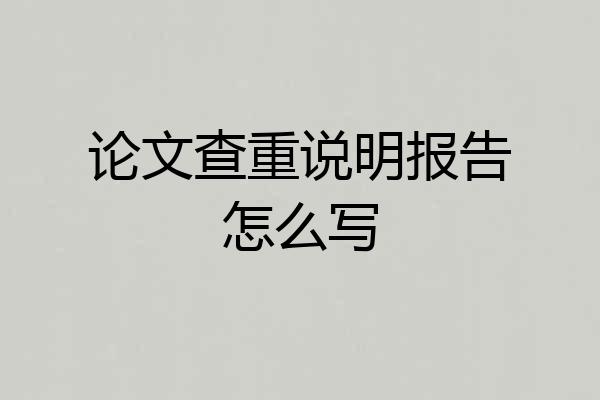 论文查重说明报告怎么写