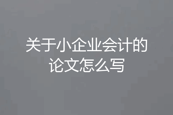 关于小企业会计的论文怎么写