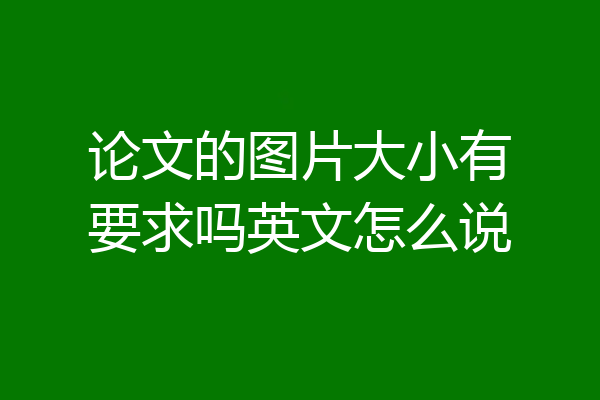 论文的图片大小有要求吗英文怎么说