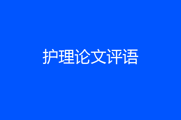 护理论文评语