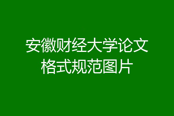 安徽财经大学论文格式规范图片
