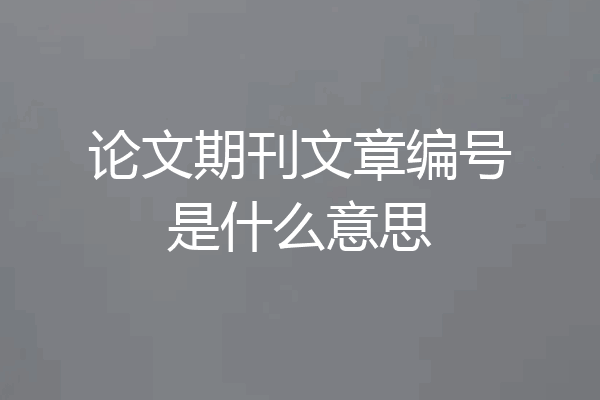 论文期刊文章编号是什么意思