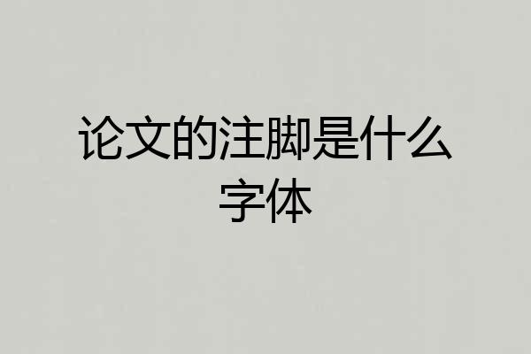 论文的注脚是什么字体