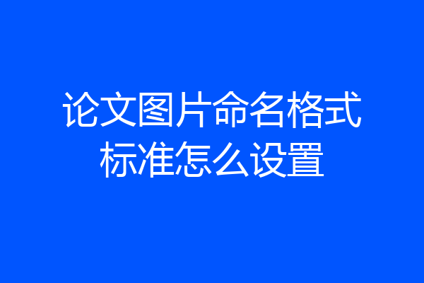 论文图片命名格式标准怎么设置