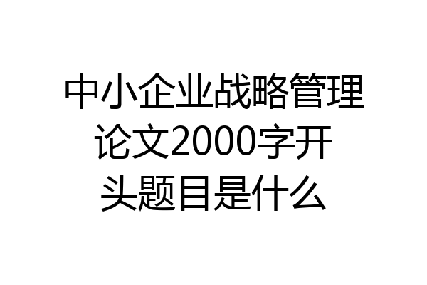 中小企业战略管理论文2000字开头题目是什么