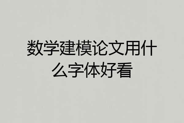 数学建模论文用什么字体好看