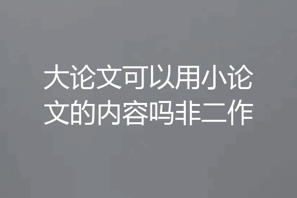 大论文可以用小论文的内容吗非二作