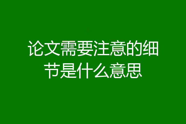 论文需要注意的细节是什么意思