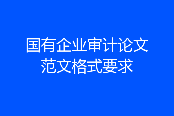 国有企业审计论文范文格式要求