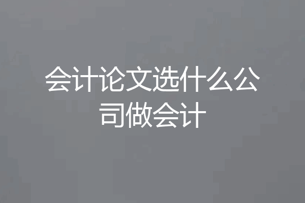 会计论文选什么公司做会计