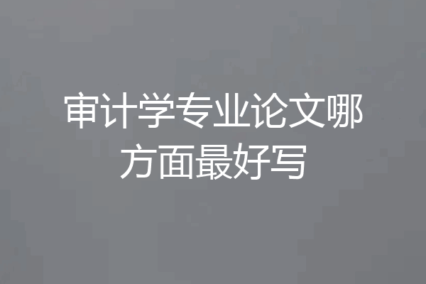 审计学专业论文哪方面最好写