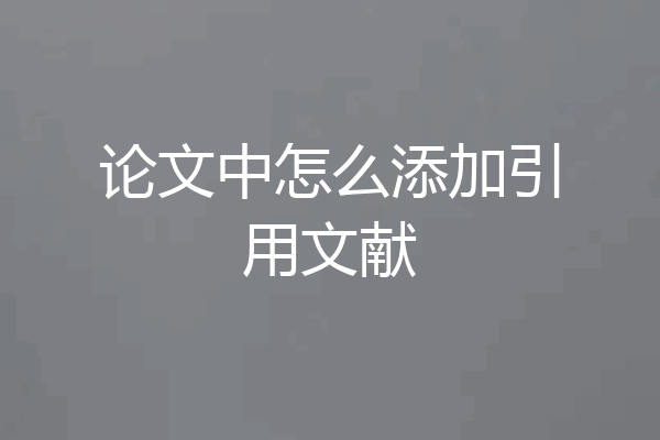 论文中怎么添加引用文献
