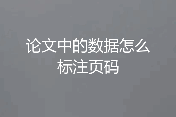 论文中的数据怎么标注页码