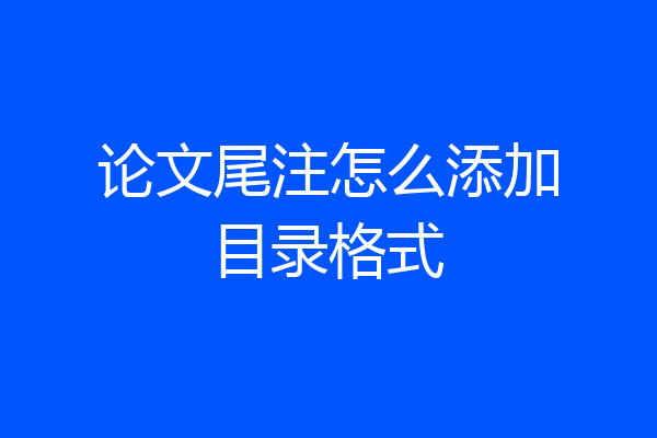 论文尾注怎么添加目录格式