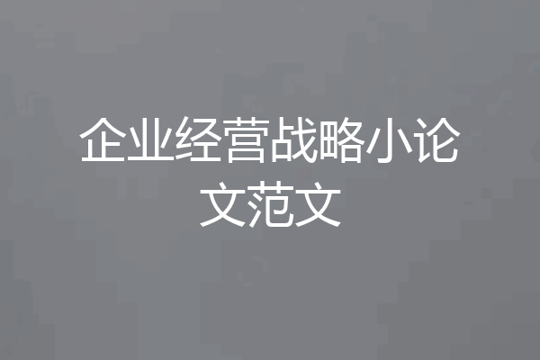企业经营战略小论文范文