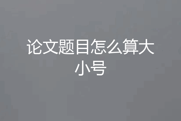 论文题目怎么算大小号