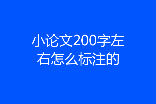 小论文200字左右怎么标注的