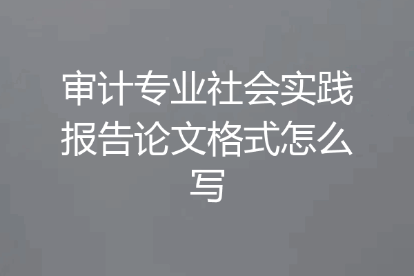 审计专业社会实践报告论文格式怎么写