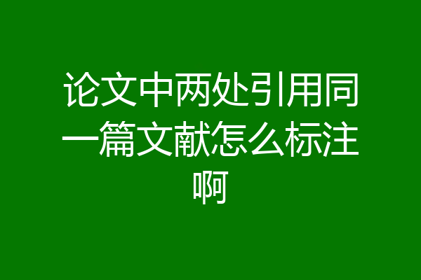 论文中两处引用同一篇文献怎么标注啊
