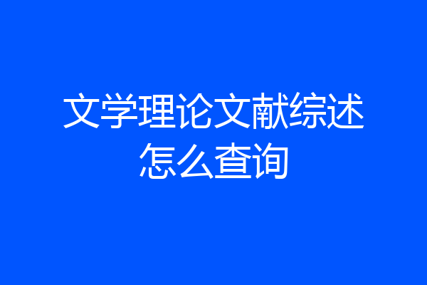 文学理论文献综述怎么查询