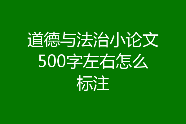 道德与法治小论文500字左右怎么标注