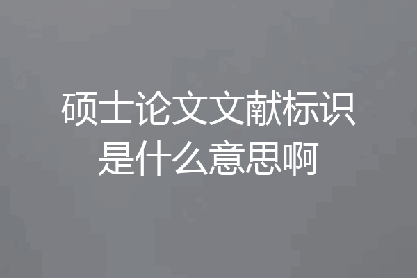 硕士论文文献标识是什么意思啊