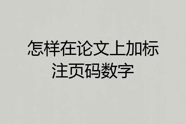 怎样在论文上加标注页码数字